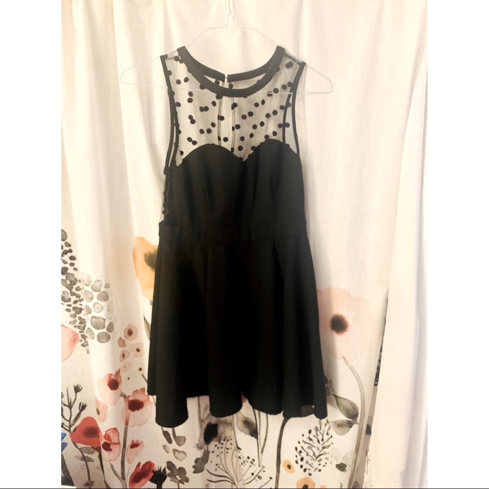 Polka Dot Mesh Collar Skater Dress